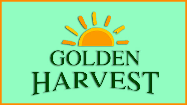 golden-hervest